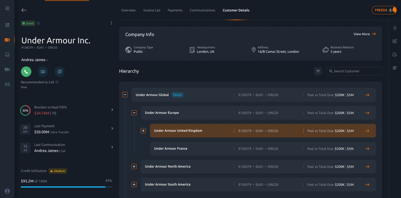 Customer details: company info and an expandable account hierarchy across global subsidiaries with past-versus-total-due figures